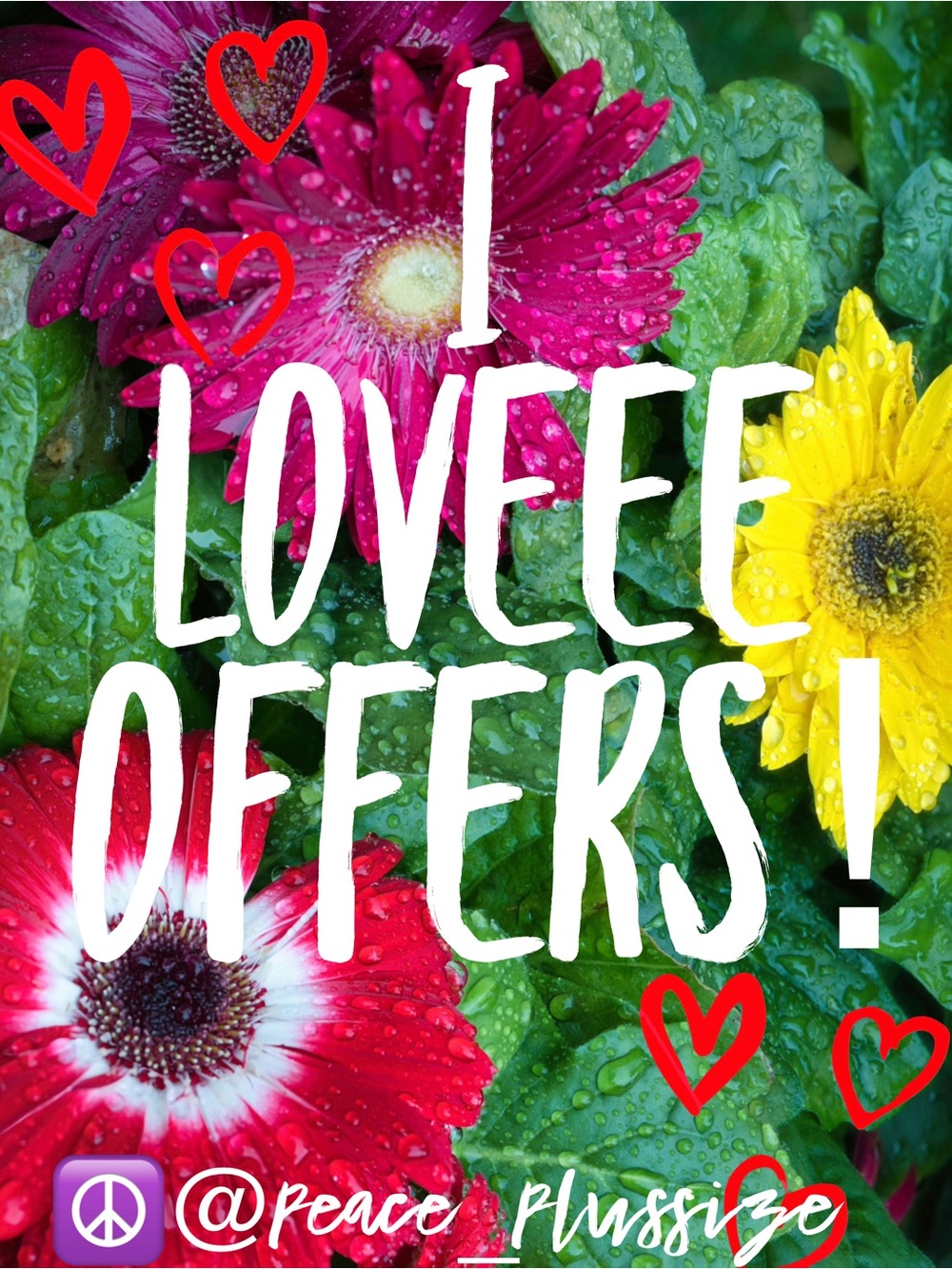 Send me an offer!